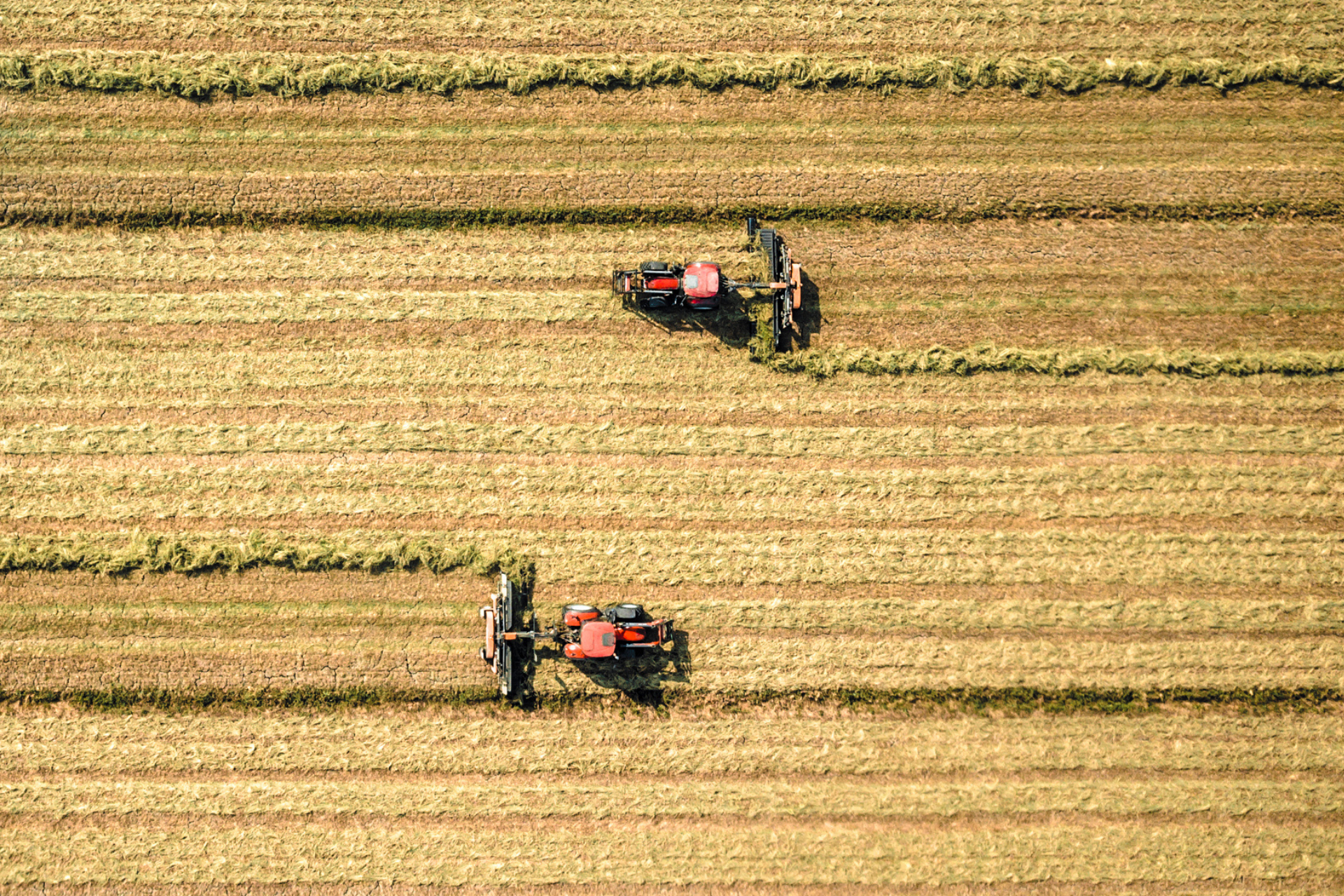 foto drone campo di grano