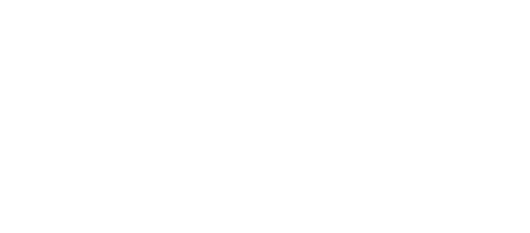 mediaprint-logo-bianco