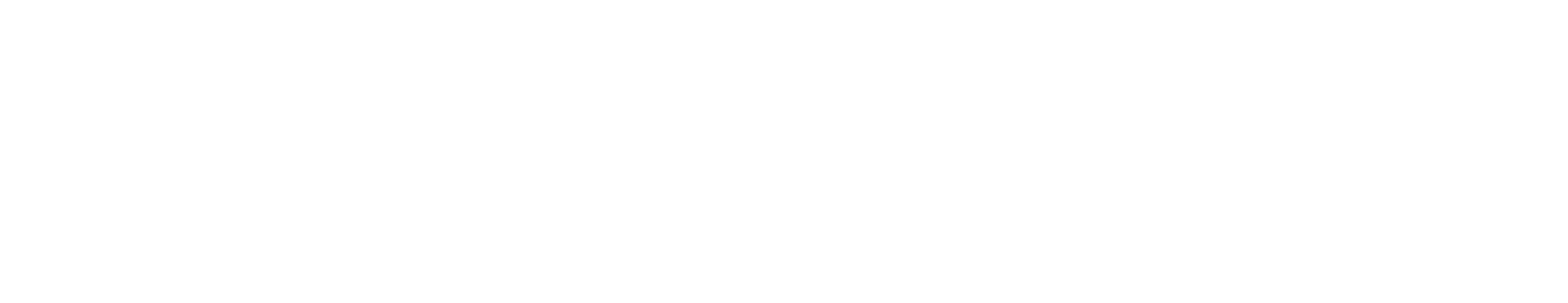 officine-bonaccini-logo-bianco