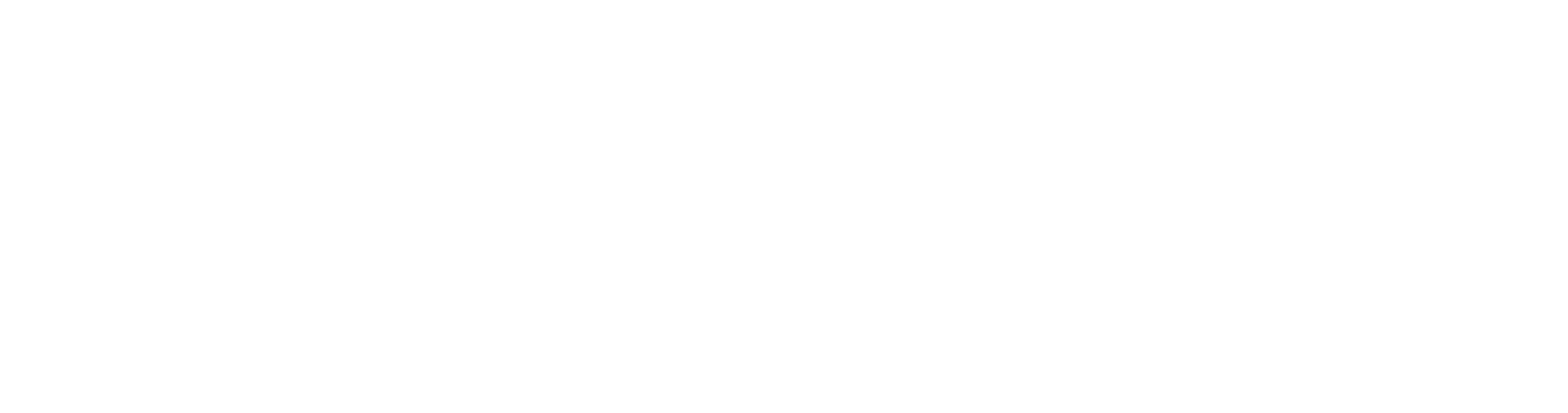 sidel-logo-bianco